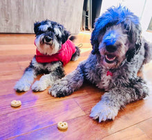 Load image into Gallery viewer, Treat Hunters Bacon and kale dog biscuits dry bag.Gluten free dog treats for small and large dogs,healthy snacks 3kg