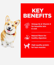 Load image into Gallery viewer, Hill’s science diet adult dry dog food chicken and barely recipe for Adult 6.8KG