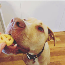 Load image into Gallery viewer, Treat hunters bacon and kale dog biscuits for small & large dog 400gm