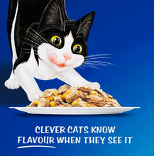 Load image into Gallery viewer, Felix Doubly Delicious Fish Selection In Jelly 60*85gm