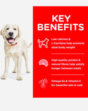 Load image into Gallery viewer, Hill’s science diet large breed chicken and barely recipe dry dog food 12KG bag