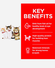 Load image into Gallery viewer, Hills science diet kitten chicken recipe dry cat food 10KG bag