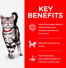 Load image into Gallery viewer, Hills Science Diet Adult Indoor Chicken Recipe 4KG