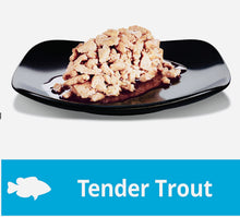 Load image into Gallery viewer, Dine perfect portions wet cat food Trout in Gravy 75gm*24 Pack