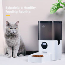 Load image into Gallery viewer, Automatic 6L pet food dispenser with LCD screen