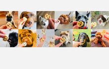 Load image into Gallery viewer, Puppy food grain free peanut butter dog biscuits dry can for Small & Large Dog 120gm