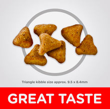 Load image into Gallery viewer, Hills Science Diet Adult Indoor Chicken Recipe 4KG