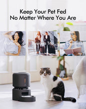 Load image into Gallery viewer, PETLIBRO Automatic cat feeder up to 50 portions 6 meal for cat/dog