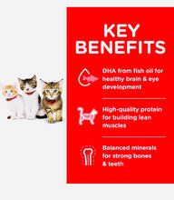 Load image into Gallery viewer, Hill’s Science Diet Kitten Chicken Recipe 1.58kg