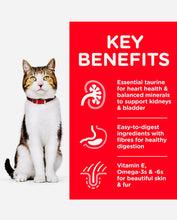 Load image into Gallery viewer, Hills science Diet wet cat food 85gm*12 pack Adult 7+