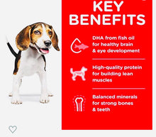 Load image into Gallery viewer, Hills science chicken meal & barley recipe dry dog food for medium breed dogs 3kg