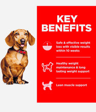 Load image into Gallery viewer, Hills science diet perfect weight small & mini chicken recipe dry dog food adult 6.8KG