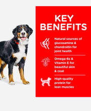 Load image into Gallery viewer, Hill’s science Diet Adult Large Breed ,Chicken & Barley Recipe Dry Dog Food 12KG