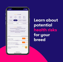 Load image into Gallery viewer, Orivet Dog dna test ,dog breed test kit ,genetic testing