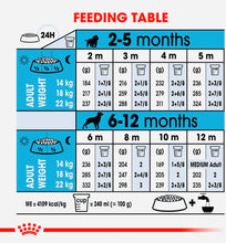 Load image into Gallery viewer, Royal Canin Medium breed dry puppy food Junior 15kg
