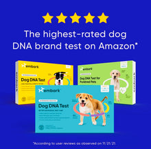 Load image into Gallery viewer, Dog DNA test kit,breed & genetic ancestry
