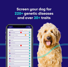 Load image into Gallery viewer, Genopet dog DNA test,complete testing for dog breath & health screen