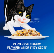 Load image into Gallery viewer, Felix Great Looks Favourite Selection For Adult & Senior 60*85gm