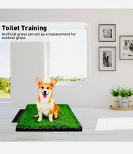 Load image into Gallery viewer, Dog portable indoor toilet training grass Mat 3 layers