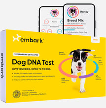 Load image into Gallery viewer, Dog DNA test kit,breed & genetic ancestry