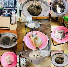 Load image into Gallery viewer, Cat and dog bed free standing sleeping bed,detachable and easy assembly