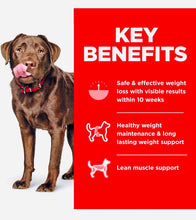 Load image into Gallery viewer, Hills science diet perfect weight chicken recipe adult large breed dog food 12.9kg