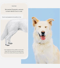 Load image into Gallery viewer, Dog DNA test for ancestry ,breed ,traits & health test