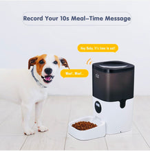 Load image into Gallery viewer, Automatic 6L pet food dispenser with LCD screen