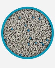 Load image into Gallery viewer, Tidy Cats Instant Action Clumping Litter 6.35kg