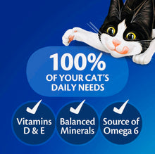 Load image into Gallery viewer, Felix doubly delicious meat selection in jelly 60*85gm