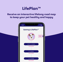 Load image into Gallery viewer, Genopet dog DNA test,Dog breed test kit,genetic testing,health risk & life plan