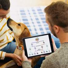 Load image into Gallery viewer, Dog DNA test kit,breed & genetic ancestry