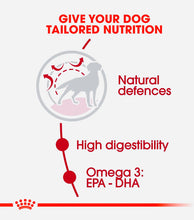 Load image into Gallery viewer, Royal Canin dry dog food medium and adult breed 15kg