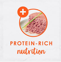 Load image into Gallery viewer, Fancy feast savoury salmon pate wet cat food 24*85gm