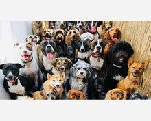 Load image into Gallery viewer, Puppy food grain free peanut butter dog biscuits dry can for Small & Large Dog 120gm