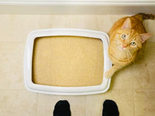 Load image into Gallery viewer, Omega I-oil natural fish oil food supplement for dogs & cats 0.5 pounds