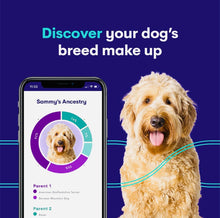 Load image into Gallery viewer, Genopet dog DNA test,complete testing for dog breath & health screen