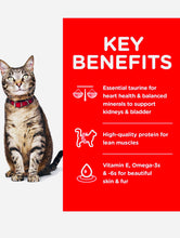 Load image into Gallery viewer, Hills science chicken recipe dry cat food 4KG-Diet Adult