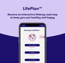 Load image into Gallery viewer, Orivet Dog dna test ,dog breed test kit ,genetic testing