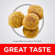 Load image into Gallery viewer, Hill’s science diet large breed chicken and barely recipe dry dog food 12KG bag