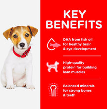 Load image into Gallery viewer, Hill’s science diet puppy small bites chicken meal and barley recipe 7.03kg