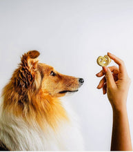 Load image into Gallery viewer, Treat hunters bacon and kale dog biscuits for small & large dog 400gm