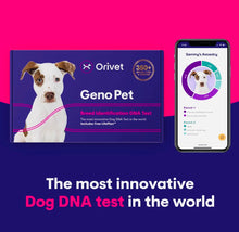 Load image into Gallery viewer, Orivet Dog dna test ,dog breed test kit ,genetic testing