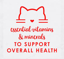 Load image into Gallery viewer, Fancy feast savoury salmon pate wet cat food 24*85gm