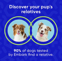 Load image into Gallery viewer, Dog DNA test kit,breed & genetic ancestry