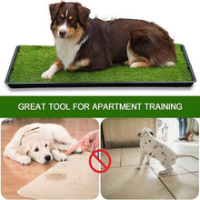 Load image into Gallery viewer, Extra Large Dog Grass Pad with Tray (35’’X45’’), Artificial Grass Mats Washable Pee Pad and Professionally Pet Toilet Potty Tray
