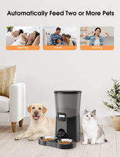 Load image into Gallery viewer, WOPET Automatic Dog Feeder,8L Pet Food Dispenser for Two Cats and Dogs
