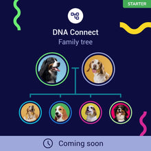 Load image into Gallery viewer, Koko DNA Test for Dogs Starter - (Breeds and Traits Reports) - Updates at no Cost
