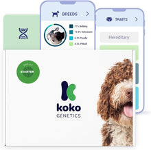 Load image into Gallery viewer, Koko DNA Test for Dogs Starter - (Breeds and Traits Reports) - Updates at no Cost
