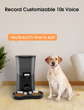 Load image into Gallery viewer, WOPET Automatic Dog Feeder,8L Pet Food Dispenser for Two Cats and Dogs
